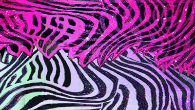 Zebra Graphic
